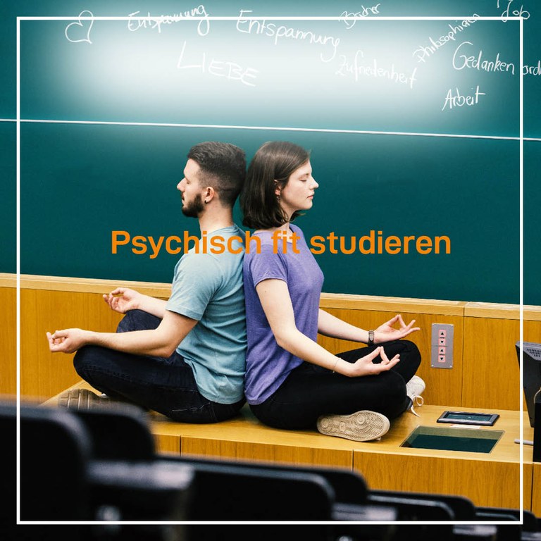 PFS3.jpg