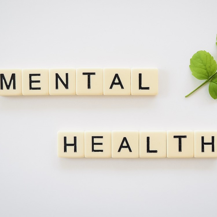 mental health qd