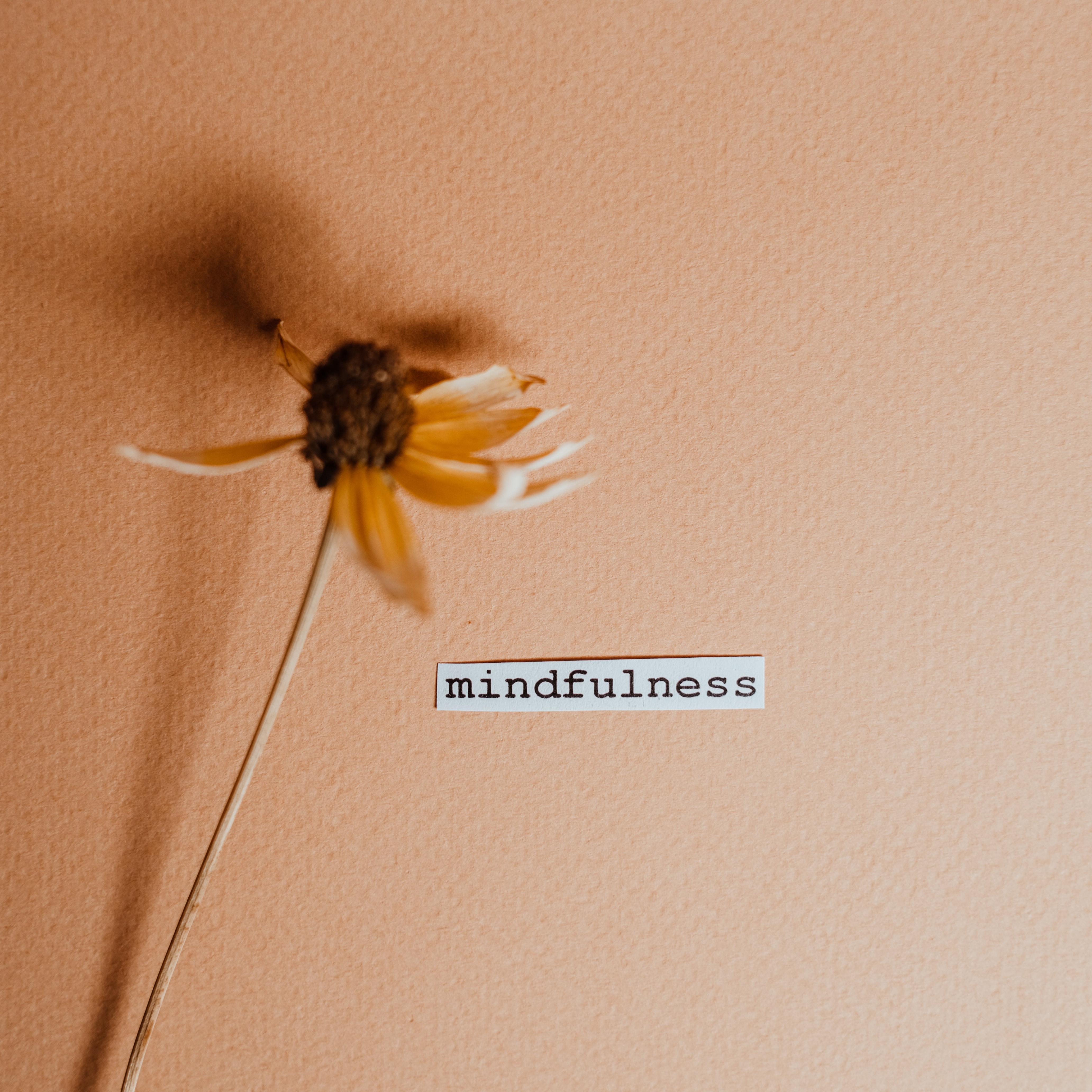 Mindfulness